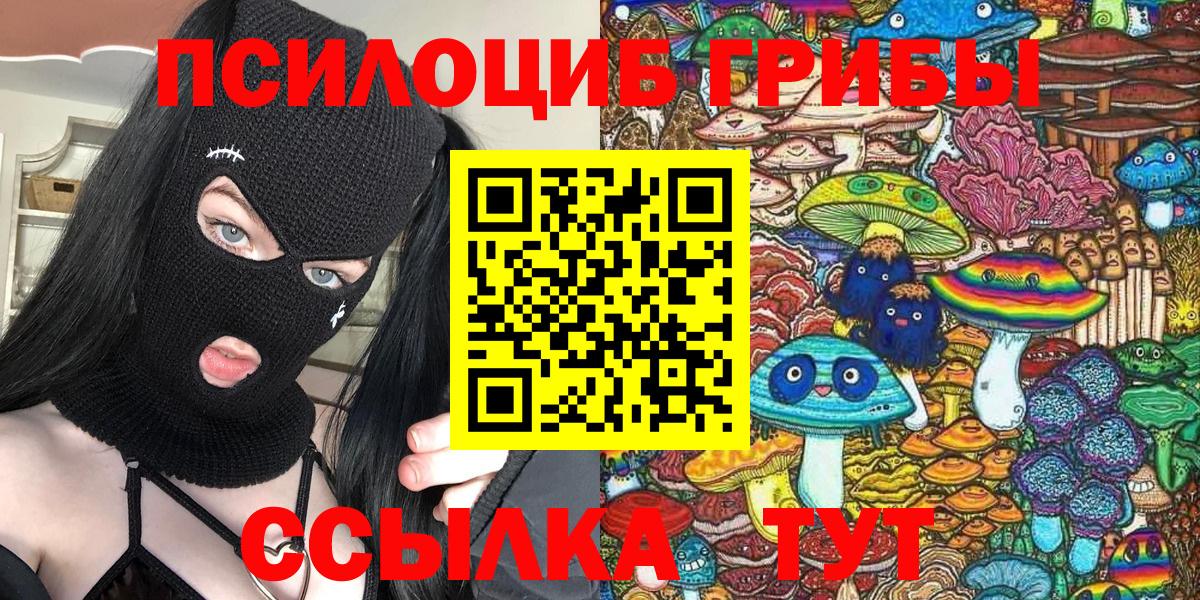 Галлюциногенные грибы MAGIC MUSHROOMS  Вход с VPN  Заводоуковск 