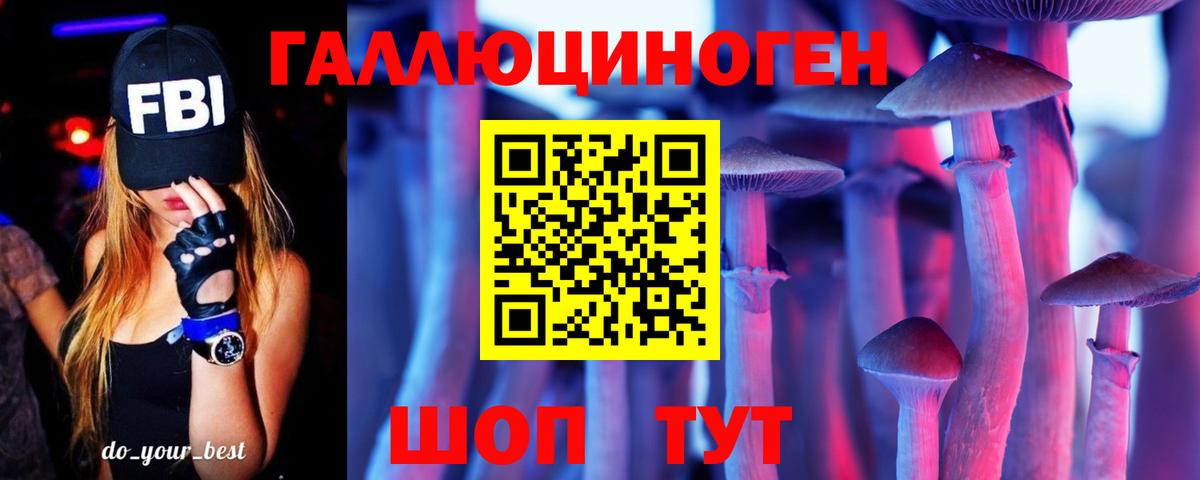 Псилоцибиновые грибы Psilocybe Заводоуковск